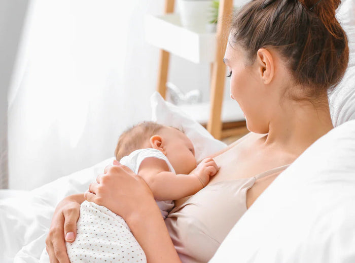 Wächst mit dir — Trimester 1 bis Stillzeit